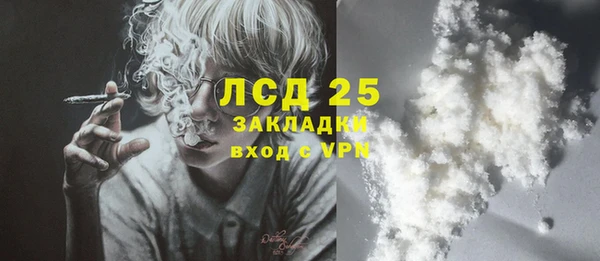 СК Пересвет