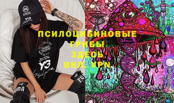 дживик Абинск