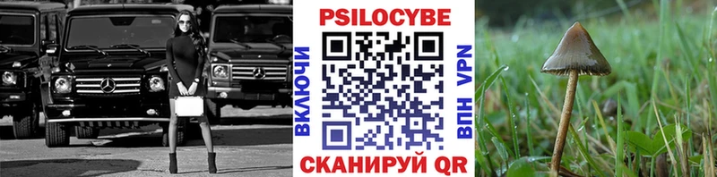 Псилоцибиновые грибы GOLDEN TEACHER  Нарьян-Мар 